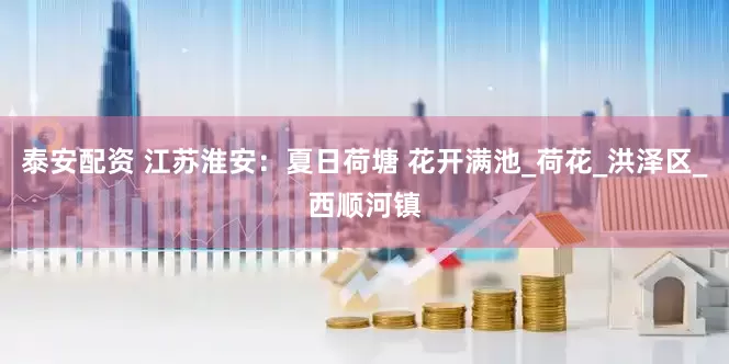 泰安配资 江苏淮安：夏日荷塘 花开满池_荷花_洪泽区_西顺河镇