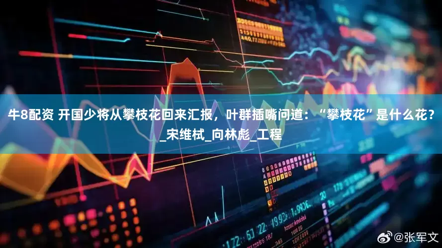 牛8配资 开国少将从攀枝花回来汇报，叶群插嘴问道：“攀枝花”是什么花？_宋维栻_向林彪_工程