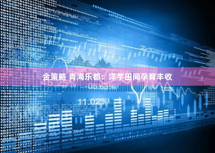 金策略 青海乐都：洋芋田间孕育丰收