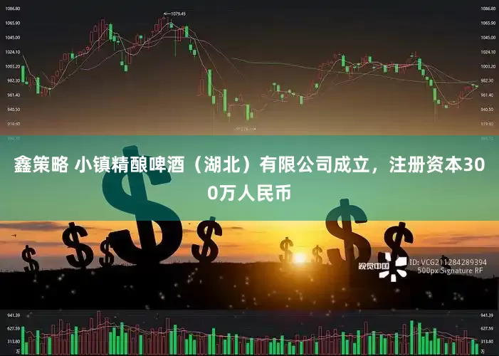 鑫策略 小镇精酿啤酒（湖北）有限公司成立，注册资本300万人民币