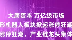 大唐资本 万亿级市场引爆！人形机器人板块掀起涨停狂潮，产业链龙头集体飙涨