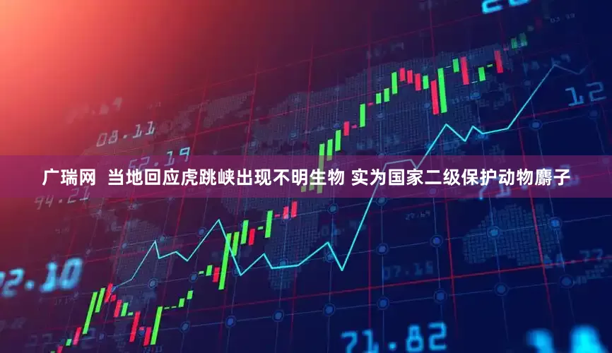 广瑞网  当地回应虎跳峡出现不明生物 实为国家二级保护动物麝子