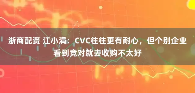 浙商配资 江小涓：CVC往往更有耐心，但个别企业看到竞对就去收购不太好